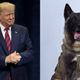 Illustration for article titled The President Has Never Met a Dog